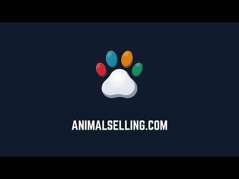 Animal Selling™ - Chris Coltran